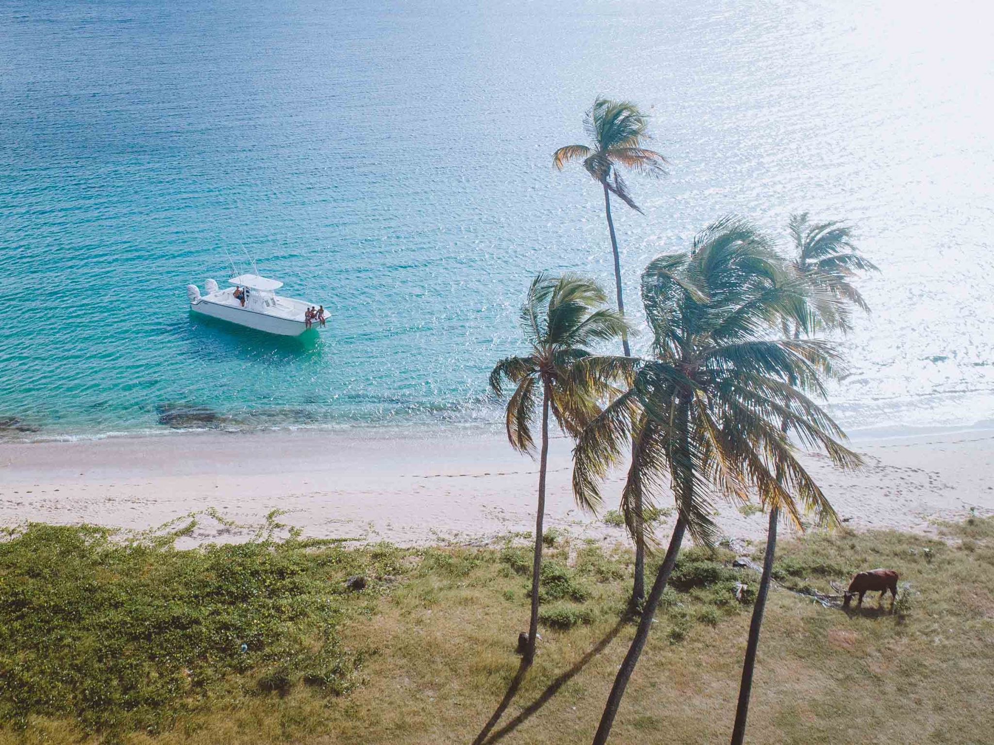 Invincible Catamaran in Antigua