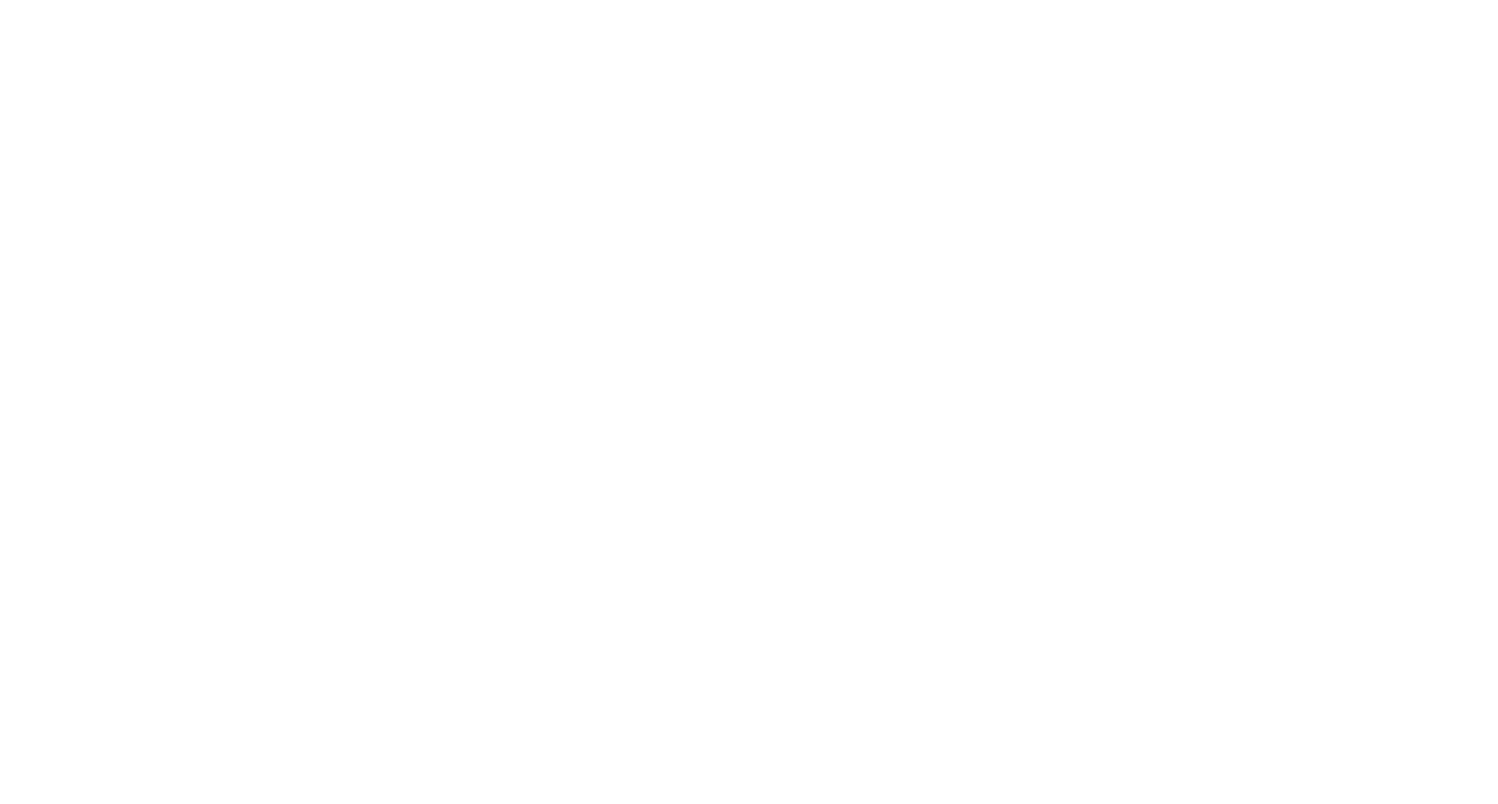 White INTL Logo